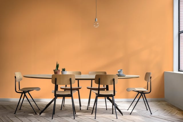 Dining Room interior inspiration image