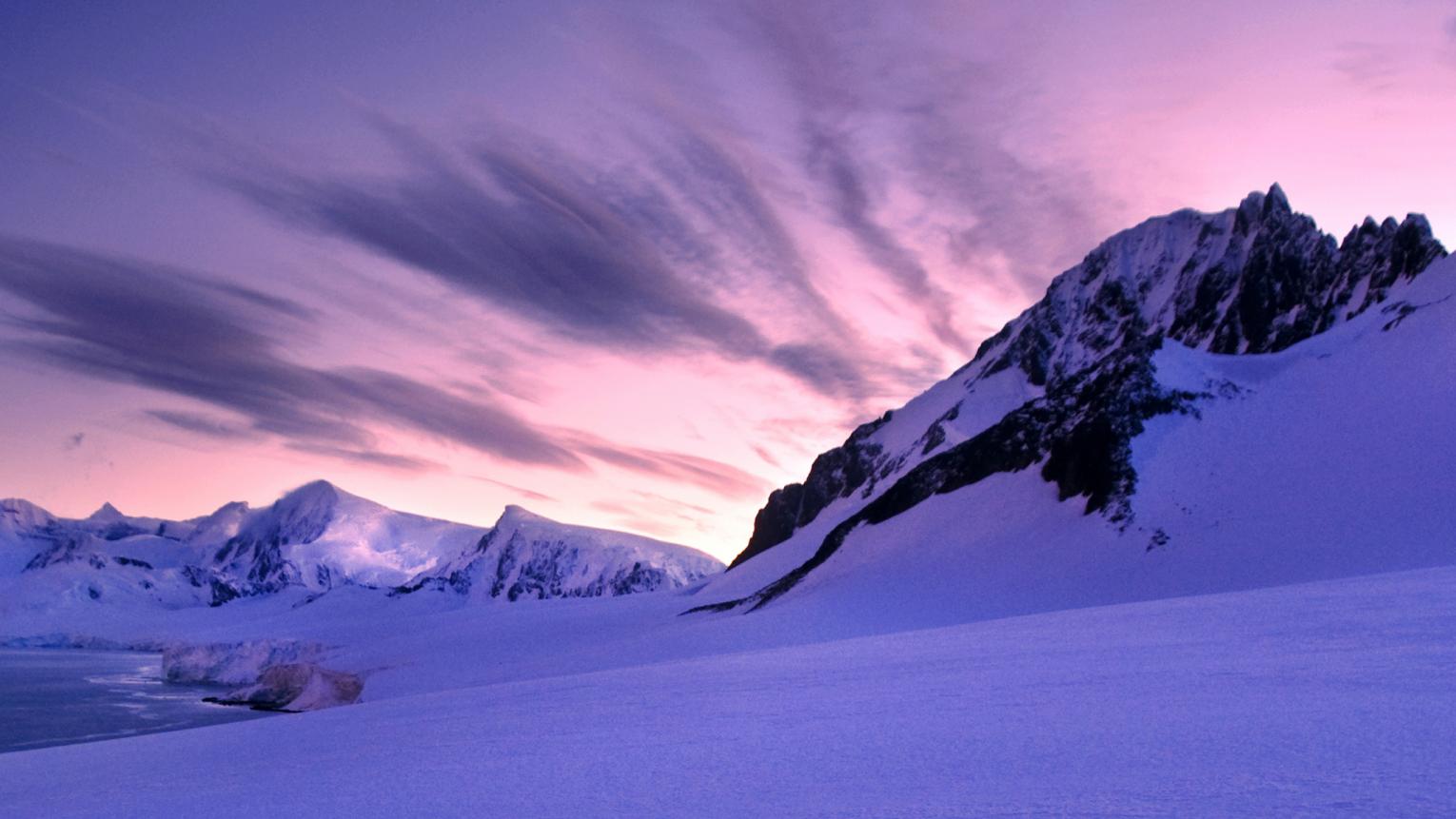Paars En Violet Zoek De Verschillen Verf In Alle Kleuren Voor Binnen En Buiten Flexa Flexa